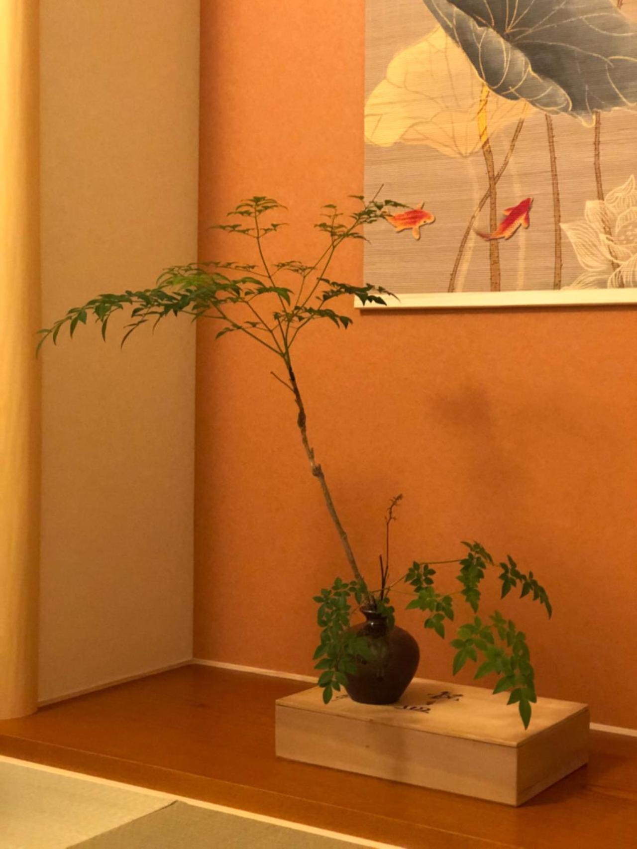 静雅の宿 Quioto Exterior foto