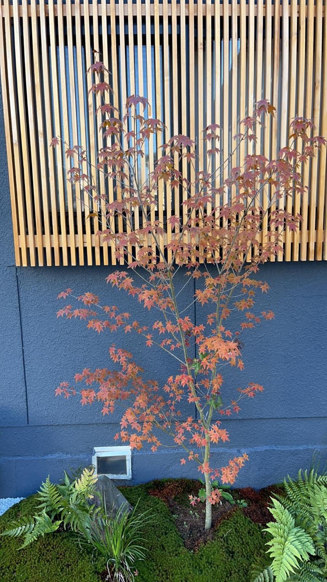 静雅の宿 Quioto Exterior foto